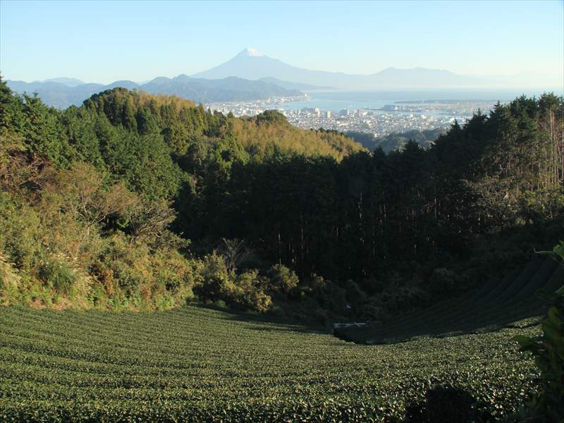 a0188405_16193342.jpg