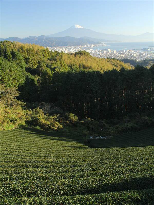 a0188405_16205214.jpg