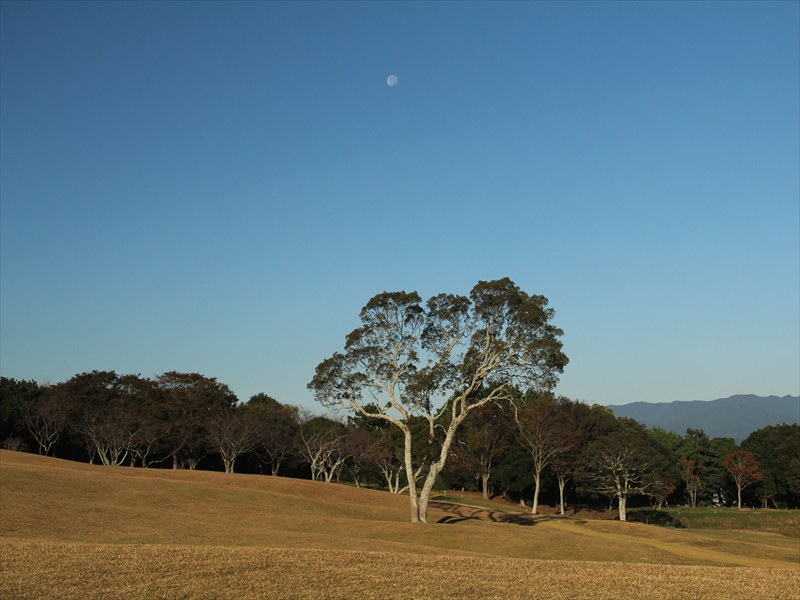 a0188405_16223117.jpg