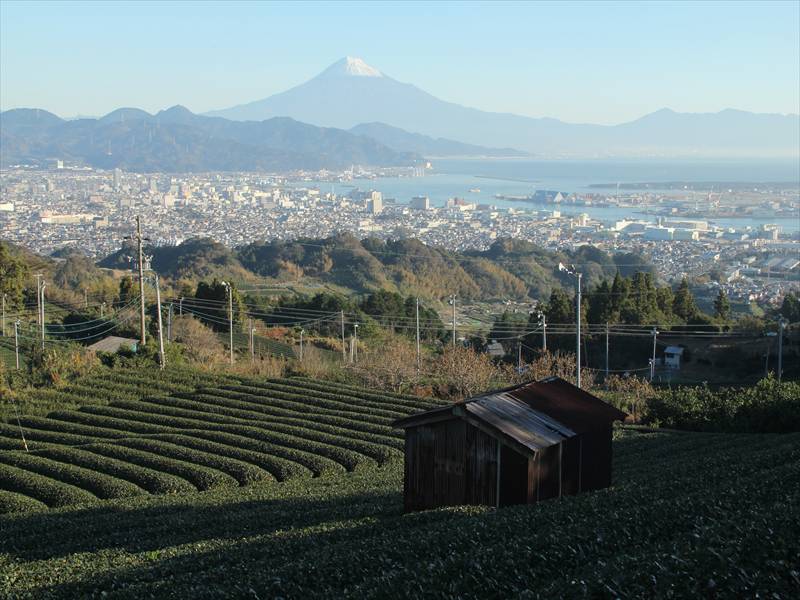 a0188405_1623238.jpg