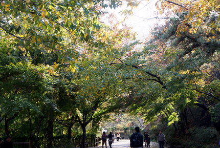 c0148705_21161917.jpg