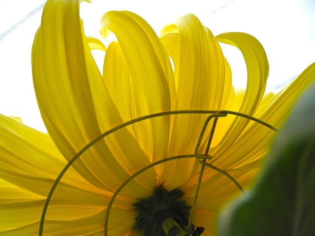 c0248013_1842658.jpg