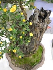 c0248013_19153063.jpg