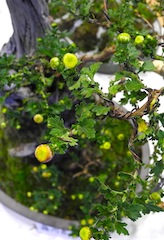 c0248013_19173165.jpg
