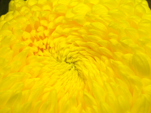 c0248013_19184989.jpg