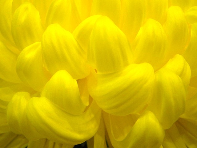 c0248013_19193199.jpg
