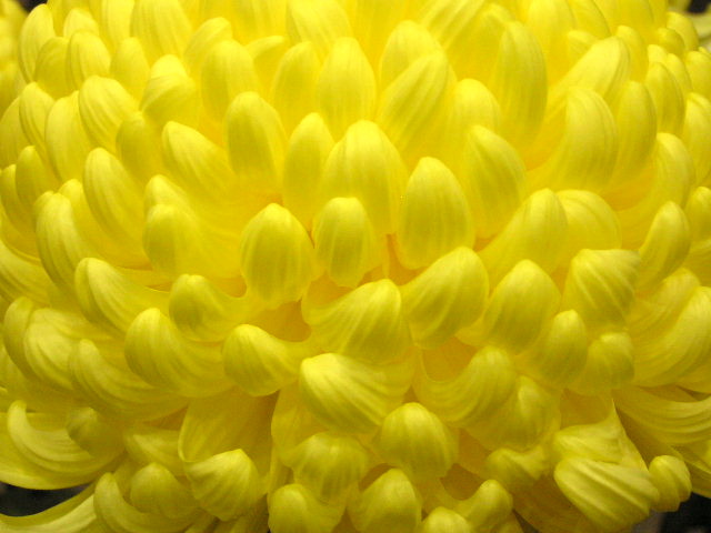 c0248013_1954562.jpg