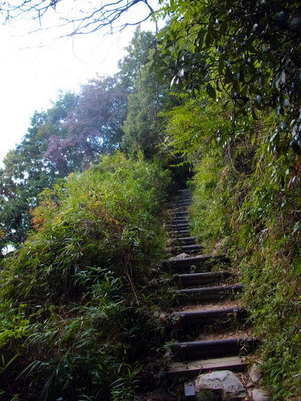 e0083517_223146.jpg