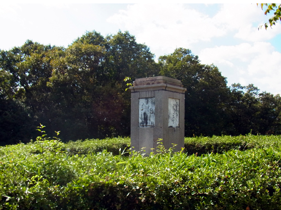 e0083517_2234317.jpg