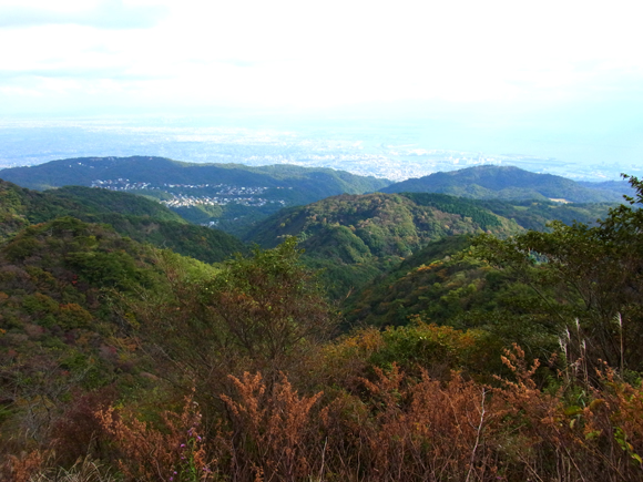 e0083517_2322484.jpg