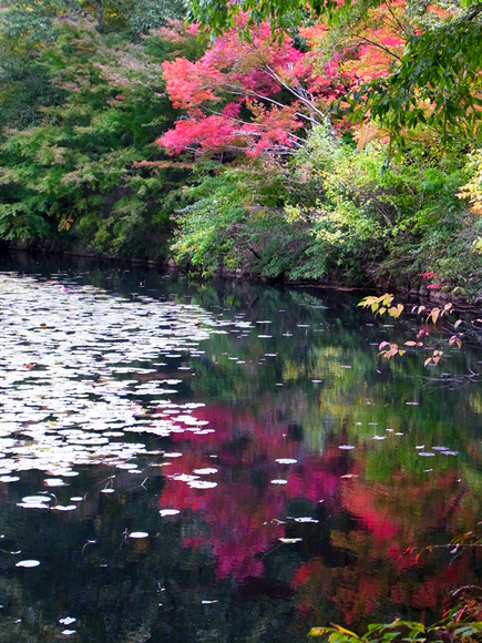 e0083517_2382735.jpg