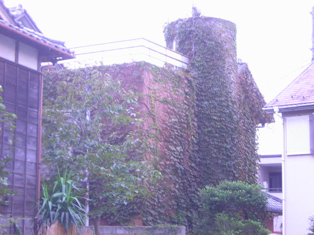 b0096418_13222596.jpg