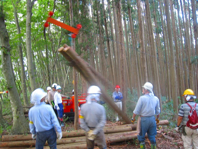 e0002820_8342885.jpg