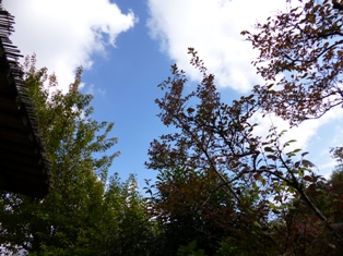 a0272721_8565630.jpg