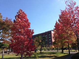 b0134529_22263834.jpg