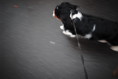 c0051132_20121764.jpg