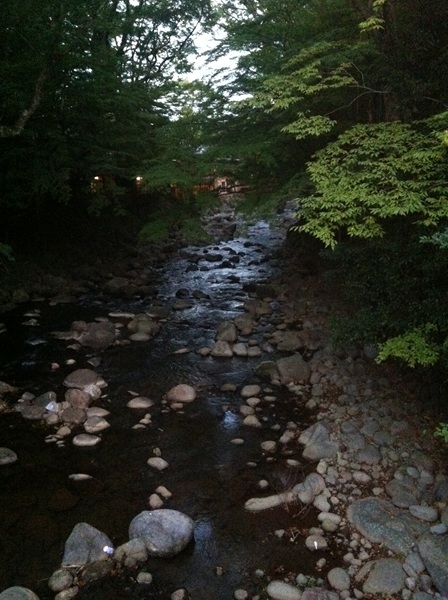 d0062132_236215.jpg