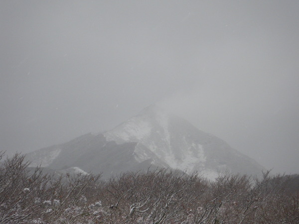 f0118332_0405484.jpg