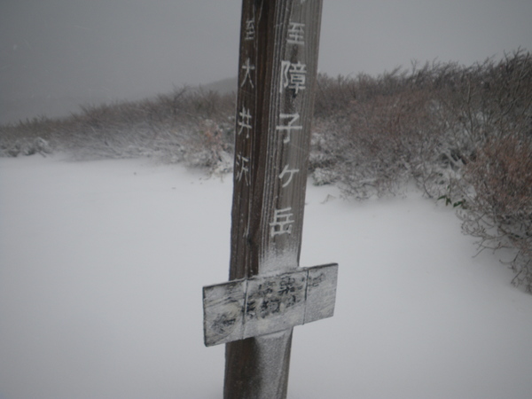 f0118332_0425245.jpg