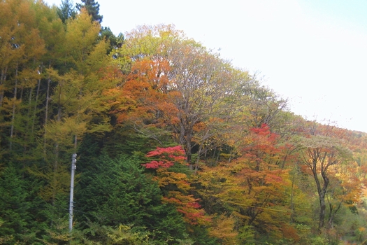 c0134734_0152348.jpg