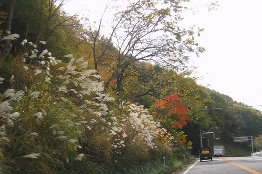 c0134734_0161379.jpg