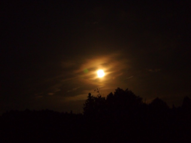 a0280635_8444629.jpg