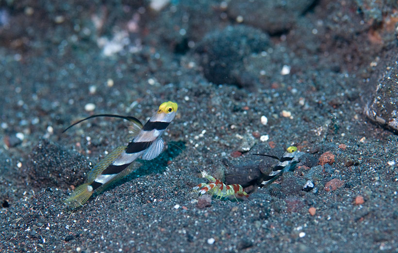 b0042837_645244.jpg