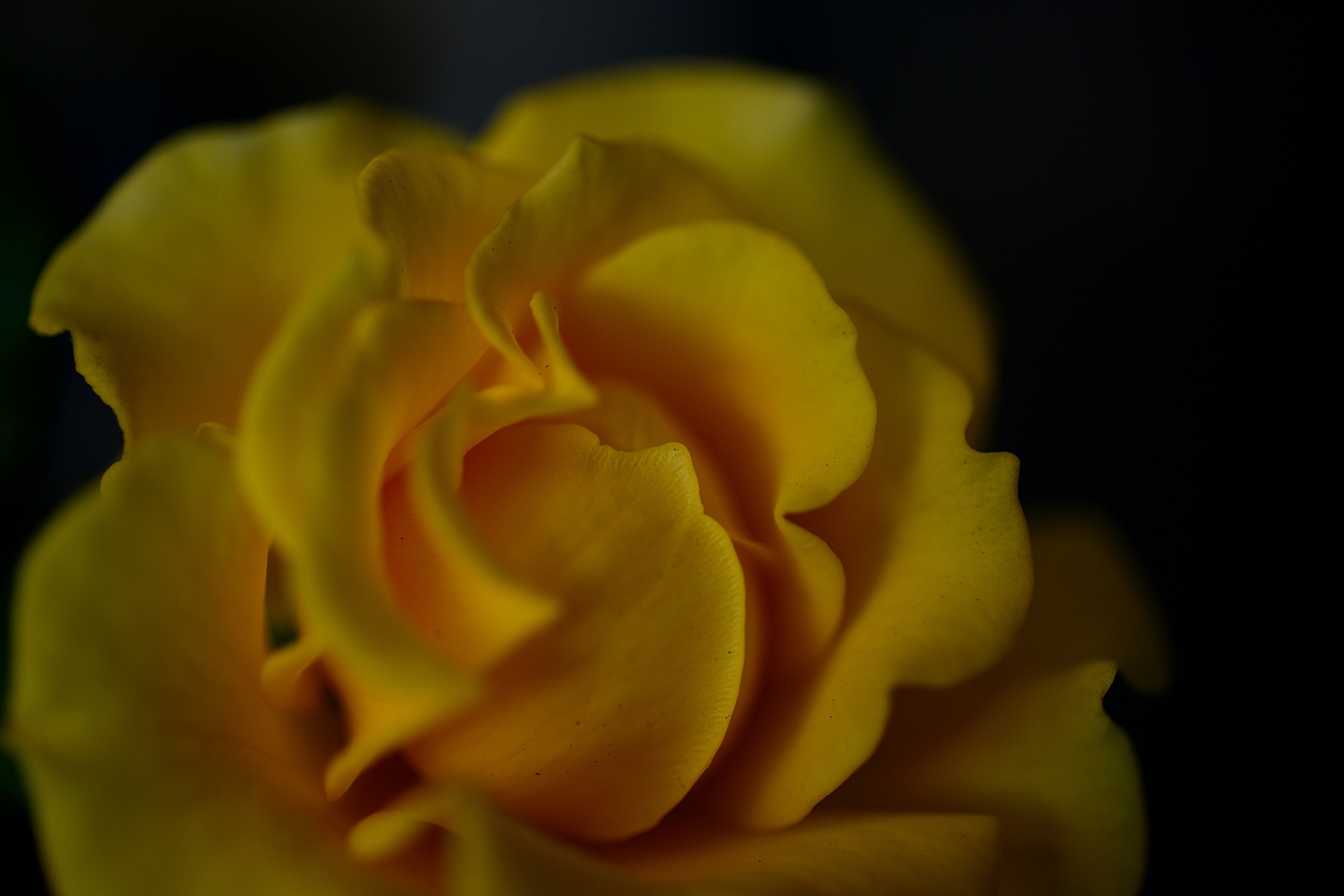 c0221838_20582546.jpg
