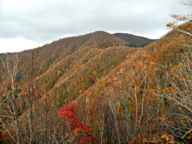 f0214649_1012172.jpg