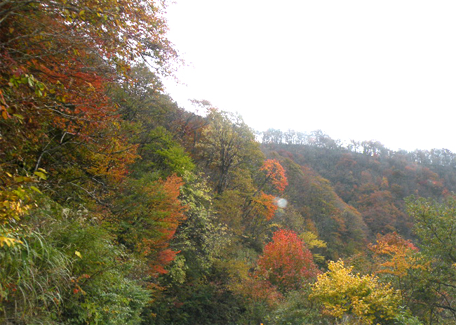 f0214649_10244585.jpg