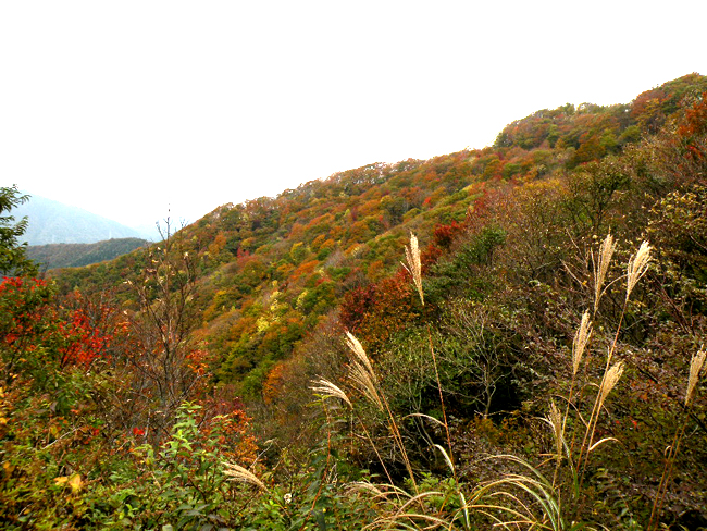 f0214649_1043411.jpg