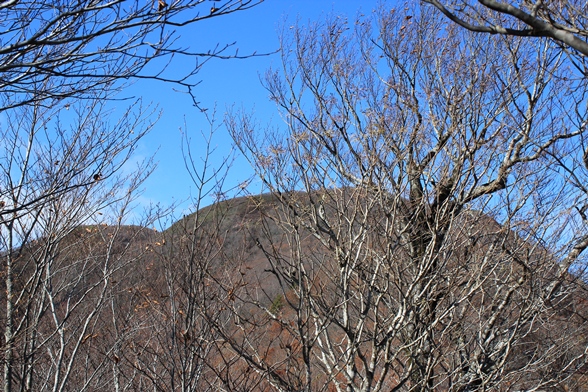 e0239458_2071275.jpg
