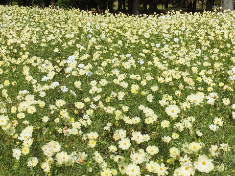 e0088260_121273.jpg