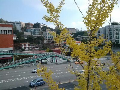 b0045267_0521455.jpg