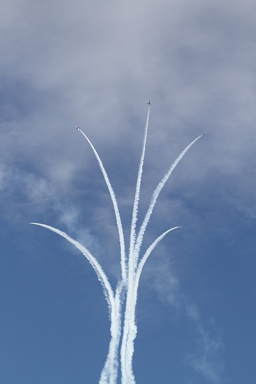 e0062371_21134543.jpg