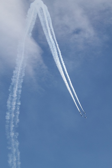 e0062371_2195266.jpg