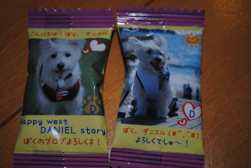 b0242873_2353091.jpg