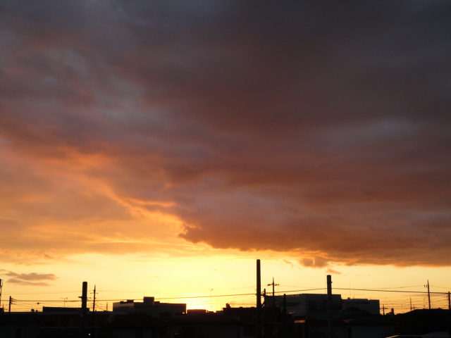 d0109373_16255763.jpg