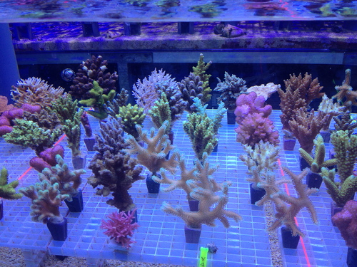 a0161975_18143812.jpg