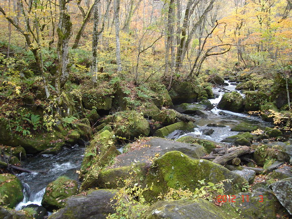 a0188775_1014052.jpg