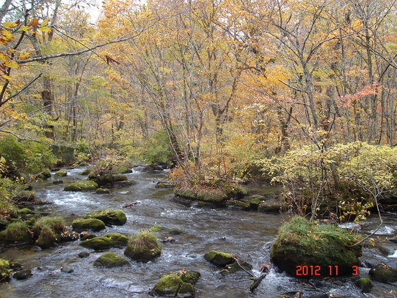 a0188775_9595354.jpg