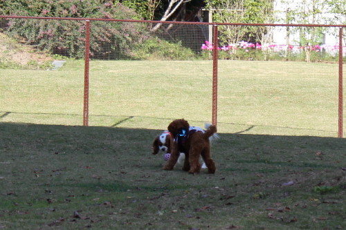 e0114977_18222113.jpg