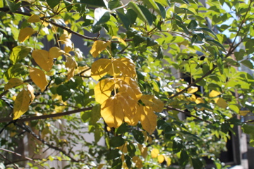 f0054677_7492167.jpg