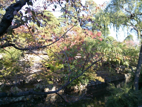 e0281680_19365697.jpg