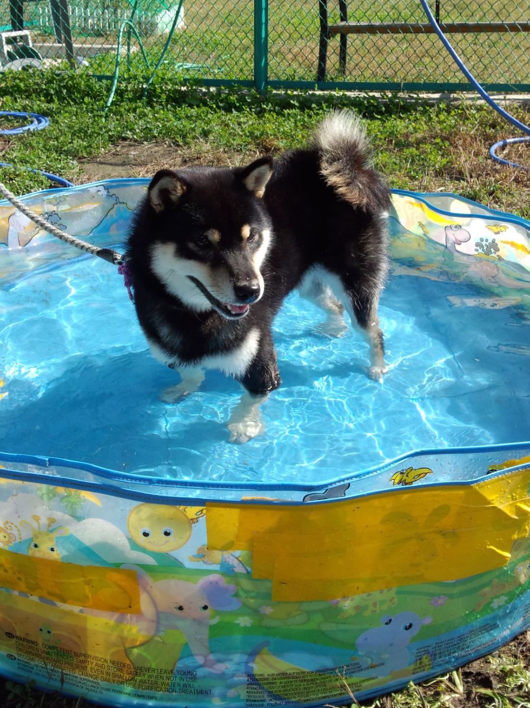 f0230380_20461475.jpg