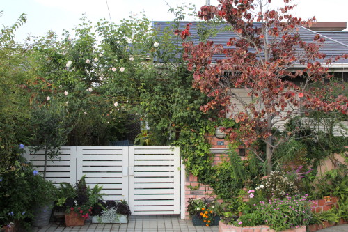 e0154682_0132119.jpg