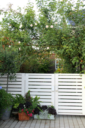 e0154682_0133993.jpg
