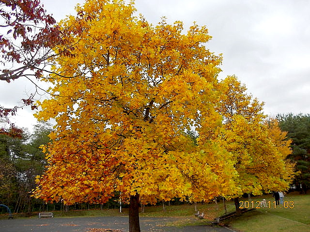 a0007388_1232386.jpg