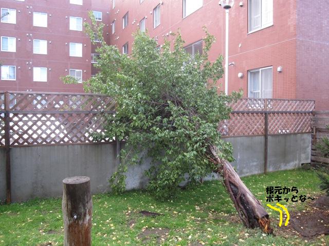 f0212597_19211291.jpg