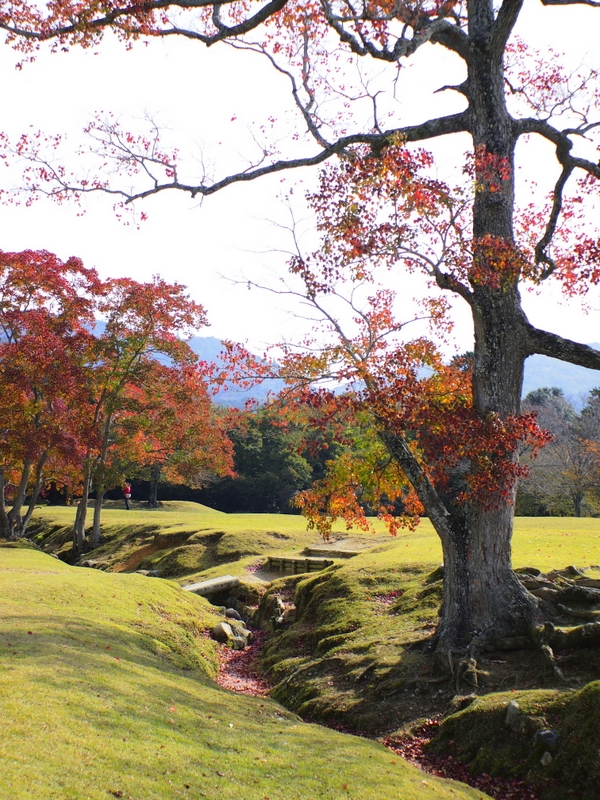 b0138101_2281841.jpg